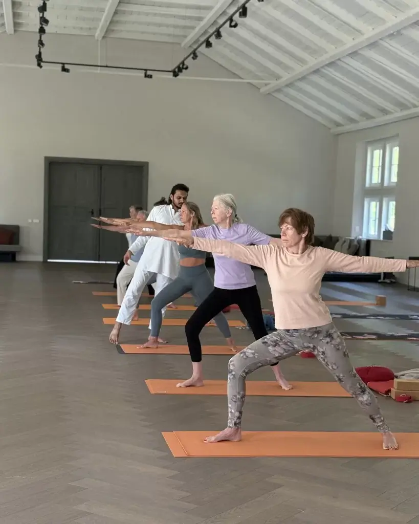 Hatha, Vinyasa oder Ashtanga