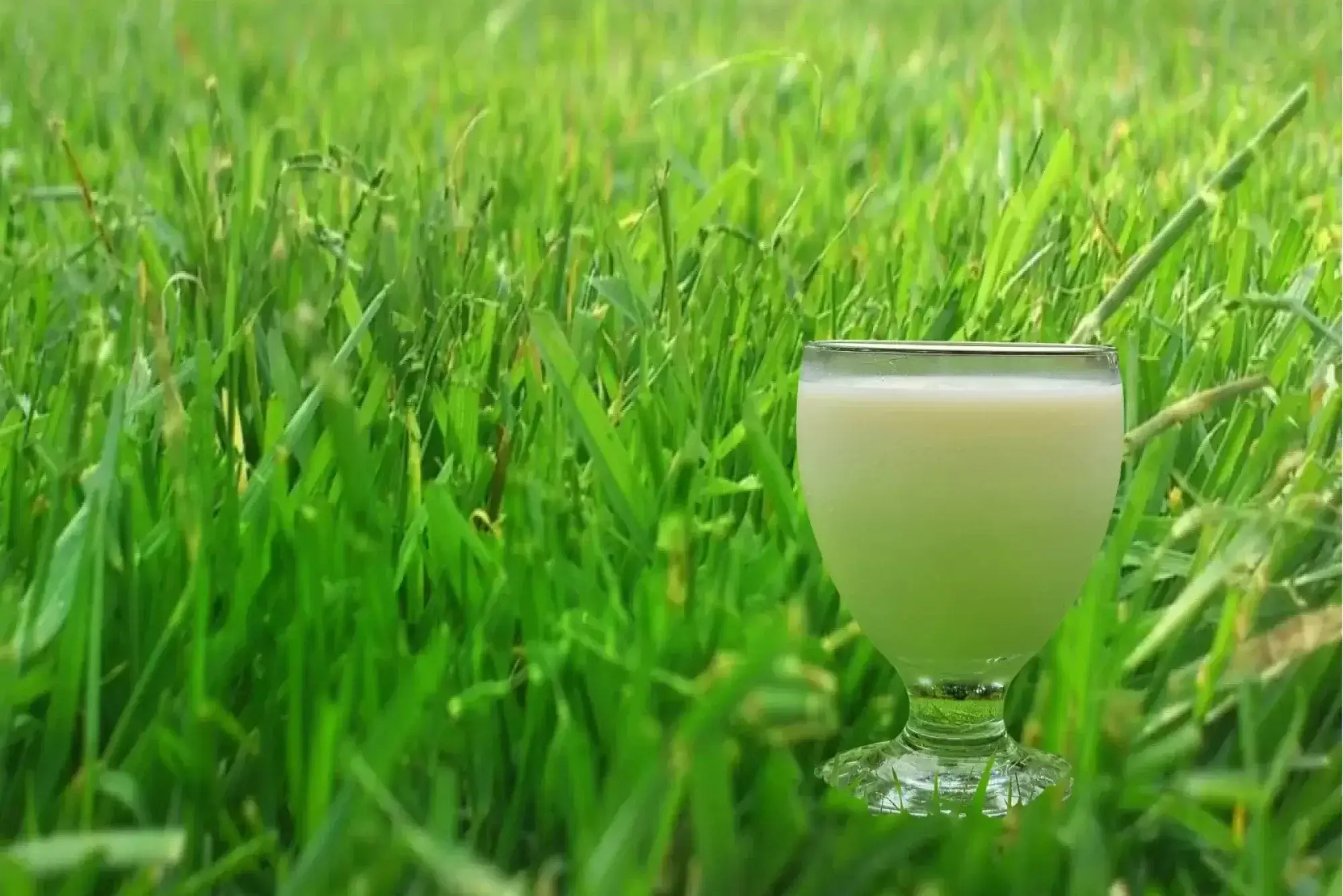 More Than Just Fasting