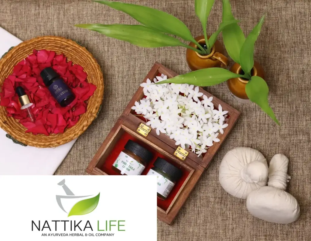Nattika_Life_Cover_Optimized