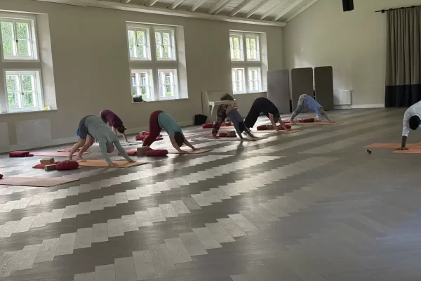 yoga-wellness-retreat